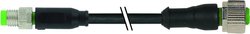 Złącze konfekcjonowane czujnika/aktuatora Murr Elektronik 7000-88241-6200300, piny: 3, 3.00 m, 1 szt.