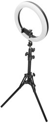 Lampa pierścieniowa LED z wysuwanym statywem i zdalną migawką Bluetooth — 10-calowa lampa pierścieniowa do tworzenia filmów, transmisji na żywo i fotografii w mediach społecznościowych Digitus DA-20311 Lampa pierścieniowa EEK: G (A - G)
