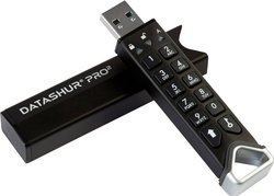 Pendrive USB iStorage IS-FL-DP2-256-4, 1 szt.