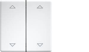 Grawerowane laserowo podwójne klawisze do przycisków i przełączników 55 design i E-Design55 czysta biel DW-FT55-rw+2P Eltako  Podwójny przełącznik kołyskowy