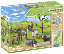 Playmobil 71307 1 szt.