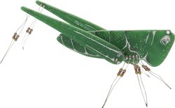 Konik polny Whadda WSAK207 1 szt.