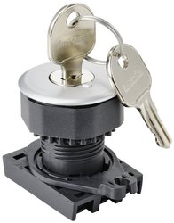 Przełącznik kluczykowy (stacyjkowy), przedni element TRU COMPONENTS S3KF-2DS srebrny 1 x 90 ° 1 szt.