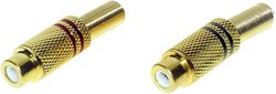 Złącze męskie RCA/Cinch TRU COMPONENTS TRU-30K109 1601060, złocony, złącze, proste, 2 szt.