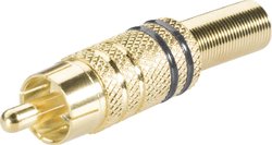 Złącze męskie RCA/Cinch TRU COMPONENTS 1578918, złocony, złącze męskie proste, 1 szt.