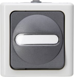 Przycisk przełączania - natynkowe pomieszczenie wilgotne Przycisk Komplet Kopp BlueElectric 561456001, szary