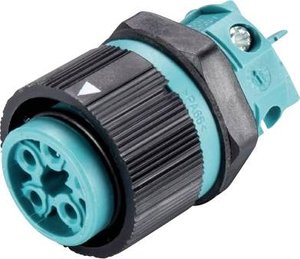 Złącze męskie okrągłe Wieland RST16I5 S B1 M03 A TB 46.051.5053.6, styki:4 + PE, 250 V, 16 A, 1 szt.