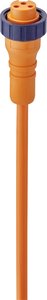 Złącze konfekcjonowane czujnika/aktuatora Lumberg Automation RK 30-01/5 M 11174, piny: 2+PE, 5.00 m, 1 szt.