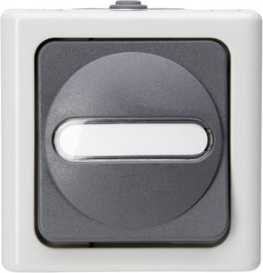 Przełącznik krzyżowy Komplet Kopp BlueElectric 560756009, szary