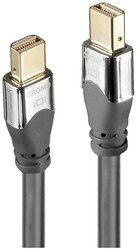 Lindy 36307 Kabel DisplayPort 2m Mini DisplayPort Szary Kabel LINDY 36307, 2.00 m