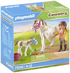Playmobil 71243 1 szt.