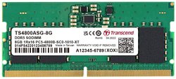 Transcend Pamięć robocza do laptopów - moduł DDR5 8 GB 1 x 8 GB ECC 4800 MHz 262pin SO-DIMM CL40 TS4800ASG-8G