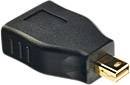 Przejściówka, adapter Mini DisplayPort, DisplayPort LINDY 41077 LINDY Mini DP an DP Adapter, [1x złącze męskie Mini DisplayPort - 1x złącze żeńskie DisplayPort]