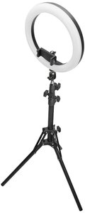 Lampa pierścieniowa LED z wysuwanym statywem i zdalną migawką Bluetooth — 10-calowa lampa pierścieniowa do tworzenia filmów, transmisji na żywo i fotografii w mediach społecznościowych Digitus DA-20311 Lampa pierścieniowa EEK: G (A - G)