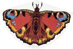 Latawiec na poziomie podstawowym z pawim okiem Latawiec jednolinkowy Günther Flugspiele 1103