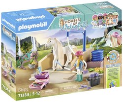 Isabella &amp, Lioness z miejscem do mycia Playmobil 71354 1 szt.