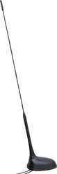 Antena samochodowa Hirschmann Car Communication 602452001
