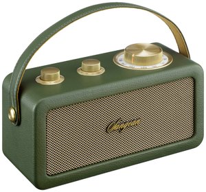 Radio akumulatorowe Sangean RA-101 FM wielokrotne ładowanie zielony, złoty