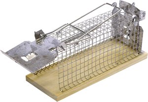 Pułapka nie wyrządzająca krzywdy Swissinno Mouse Classic 1 584 001