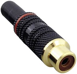 Złącze męskie RCA/Cinch BKL Electronic 0101109, złocony, złącze, proste, 1 szt.