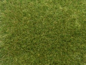 Dzika trawa, średnio zielona, 9 mm, 50 g NOCH 07118 Dzika trawa  medium green