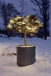 Łańcuch świetlny Konstsmide  4850-107 31 V