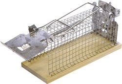Pułapka nie wyrządzająca krzywdy Swissinno Mouse Classic 1 584 001