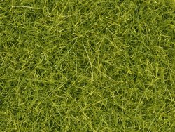 NOCH 0008363 Trawa modelarska  jasnozielony