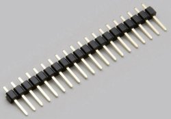 BKL Electronic 10120625 Listwa złączy męskich (standardowa) 1 szt.