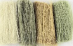 Trawa, średnia zieleń.