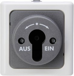 Przełącznik kluczykowy Komplet Kopp BlueElectric 561756017, szary