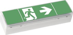 CEAG 40071354775 Oznakowanie drogi awaryjnej z podświetleniem LED  Montaż sufitowy, Montaż ścienny w lewo, w prawo, w dół