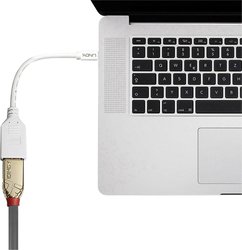 Przejściówka DisplayPort, Mini DisplayPort LINDY 41021 LINDY Adapterkabel Mini-DP (M)/DP (F), [1x złącze żeńskie DisplayPort - 1x złącze męskie Mini DisplayPort]