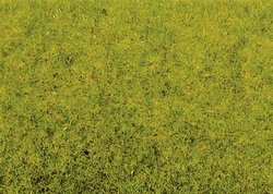 Podłoże trawiaste, NOCH 50210, 100 g, wiosenna łąka