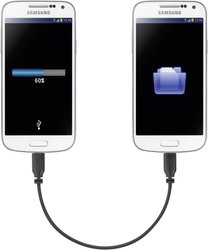 Kabel USB Renkforce, USB 2.0, Złącze męskie USB Micro-B, Złącze męskie USB Micro-B, 0.15 m