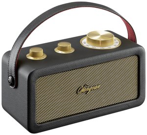 Radio akumulatorowe Sangean RA-101 FM wielokrotne ładowanie czarny, złoty