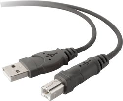 Kabel USB Belkin F3U133b10, USB 2.0, Złącze męskie USB-A, Złącze męskie USB-B, 3.00 m