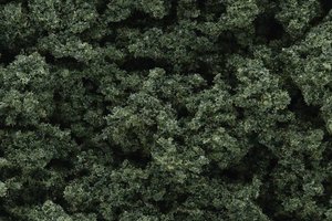 Woodland Scenics WFC684 Posypka-Mech  ciemnozielony