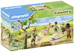 Playmobil 71251 1 szt.