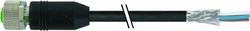 Złącze niekonfekcjonowane czujnika/aktuatora Murr Elektronik 7000-13201-6411000, 10.00 m, 1 szt.