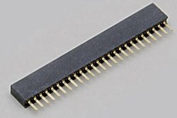 TRU COMPONENTS TC-2506436 Listwa złączy żeńskich (standardowa) 1 szt.