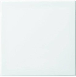 Wyłącznik, Przełącznik schodowy, Przełącznik krzyżowy, Przycisk Zaślepka Busch-Jaeger Busch-balance SI 2506-914, śnieżnobiały