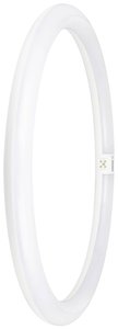 LED OSRAM 4099854042744 G10q 24 W = 40 W zimna biel