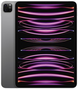 Apple iPad Pro 11 (4. Generation) WiFi 512 GB szary iPad 27.9 cm (11 cal)  Apple M2 iPadOS 16 2388 x 1668 Pixel