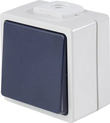 Przycisk / styk przełączny z 2 wejściami kablowymi IP54 AS Schwabe 62452  Przycisk   IP54 szary