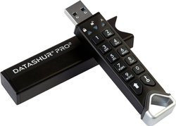 Pendrive USB iStorage IS-FL-DP2-256-32, 1 szt.