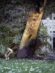 Reflektor ogrodowy Nordlux Taurus 77029934 28 W