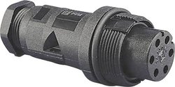 Złączka kablowa Bulgin PX0801, 1 szt.