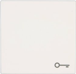 Klawisz z symbolem „klucz” Jung LS 990 T WW śnieżnobiały