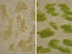 Natura + „trawiasty step”, 25 x 25 cm NOCH 07474 Flora rośliny 1 szt.